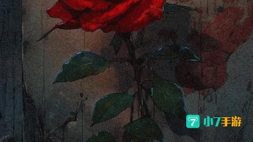 战争与玫瑰