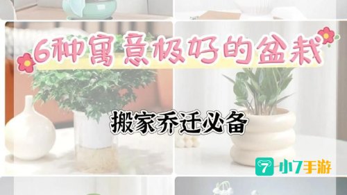 朋友搬家送什么绿植好蚂蚁森林