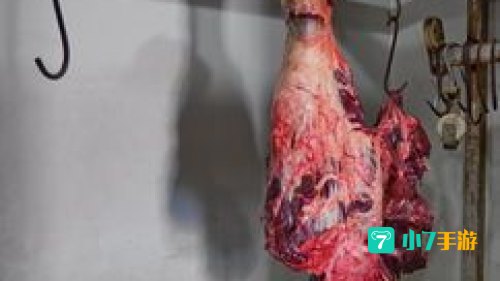 犀牛肉