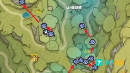 树王圣体菇采集路线