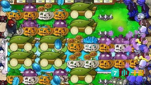 植物大战僵尸攻略图